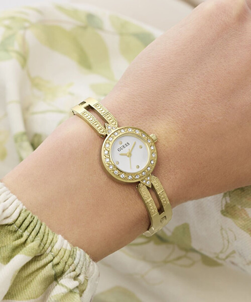 Cassidy GW1016L2