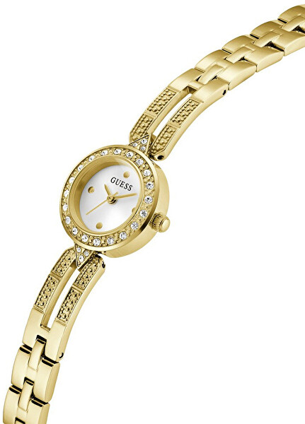 Cassidy GW1016L2
