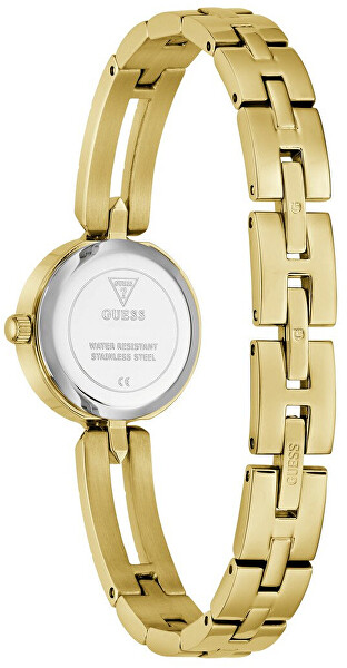 Cassidy GW1016L2