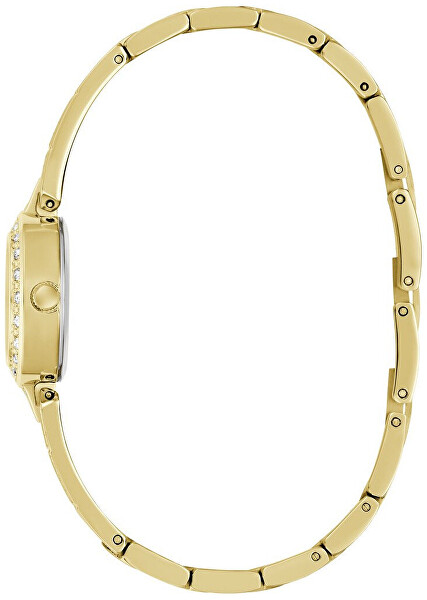 Cassidy GW1016L2