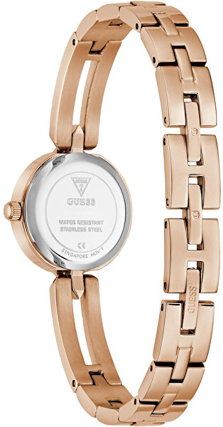 Cassidy GW1016L4