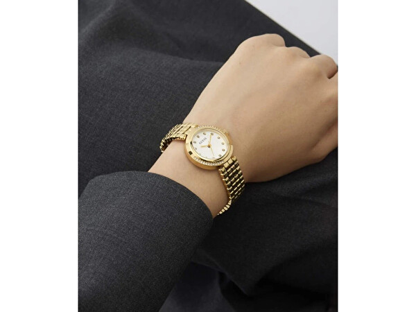 Clara GW0930L2
