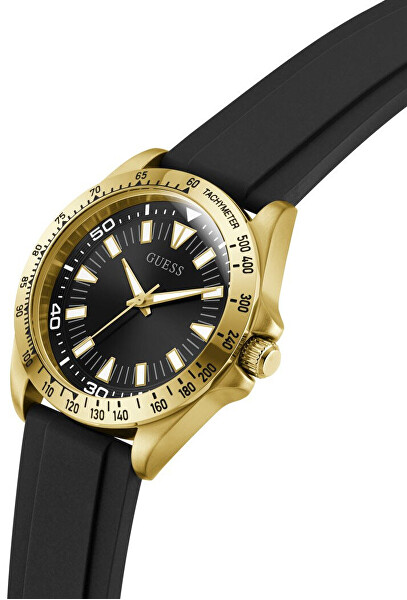 Neo GW1065G2