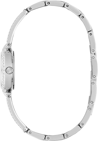 Holly GW1017L1