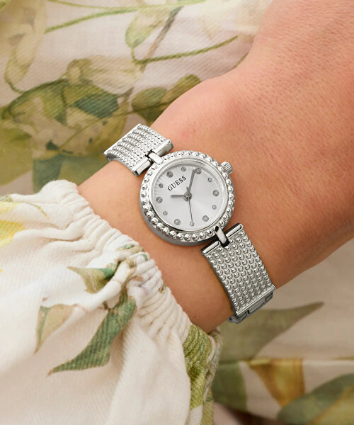 Holly GW1017L1
