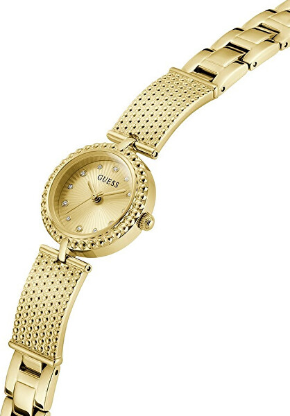 Holly GW1017L2