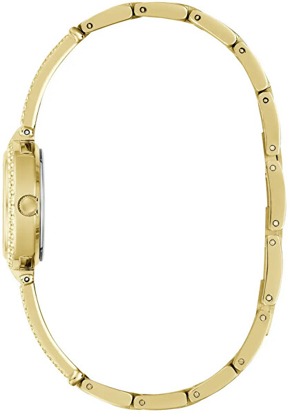 Holly GW1017L2