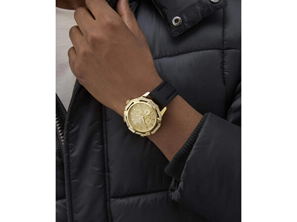Regal GW0954G2