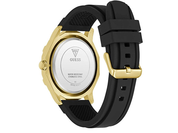 Regal GW0954G2