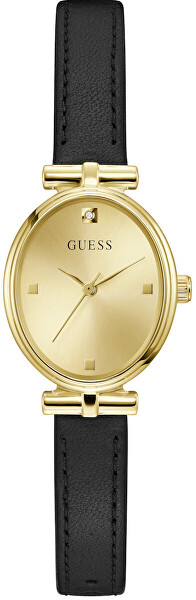 Ruby GW1029L2