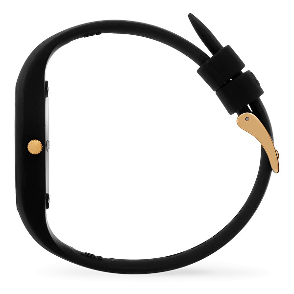 ICE Champagne Black Gold Shades 025258