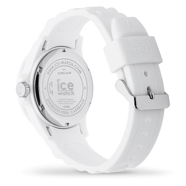 Ice Forever 000134