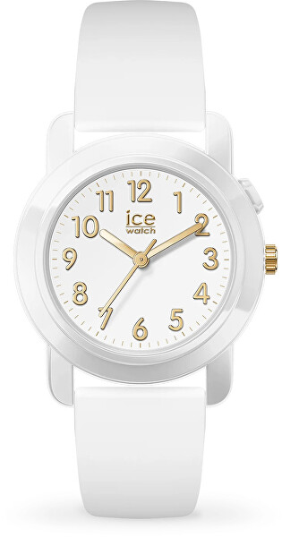Ice-Find 024916