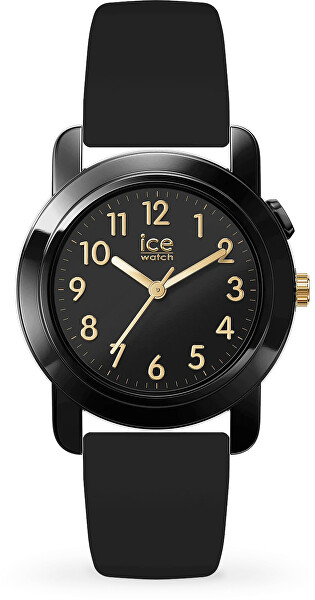 Ice-Find 024917