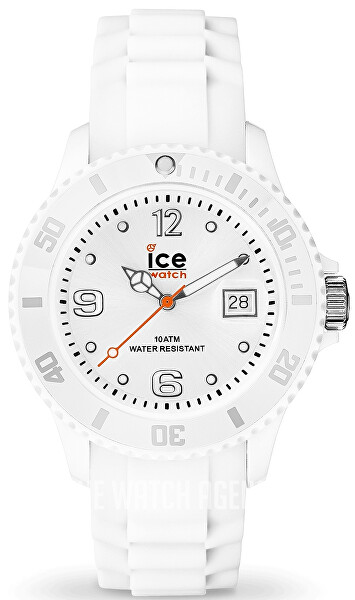 Ice Forever 000134