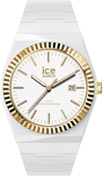 Ice-Power PW1 024764