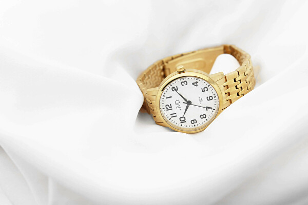 Analogové hodinky JE5001.3