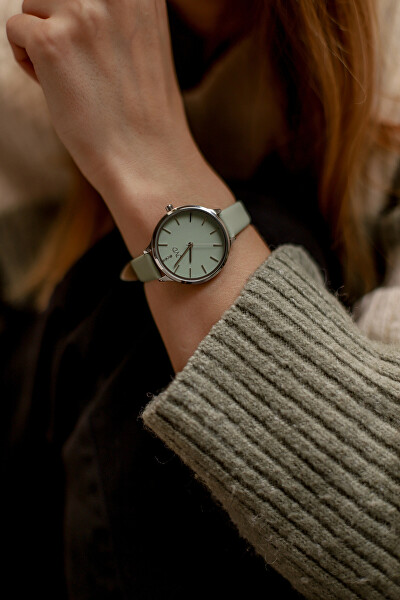 Analogové hodinky JZ201.10