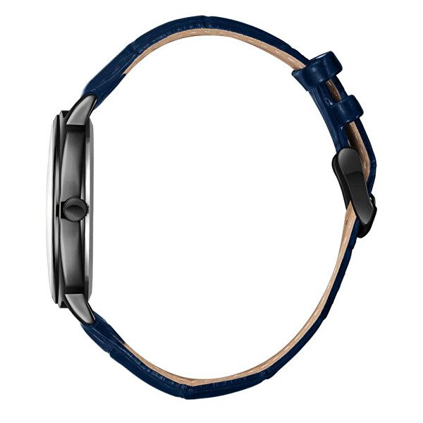 Analogové hodinky LC08248.099