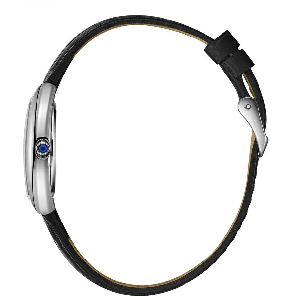 Analogové hodinky LC08315.331