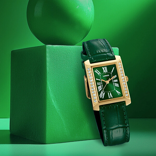 Analogové hodinky RG242YX9