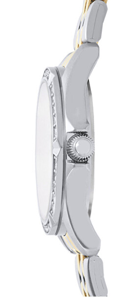 Analogové hodinky RG249YX9