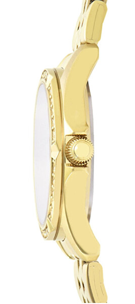 Analogové hodinky RG250YX9