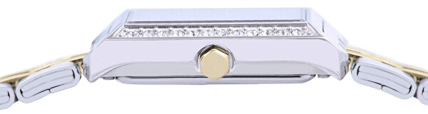 Analogové hodinky RG235YX9