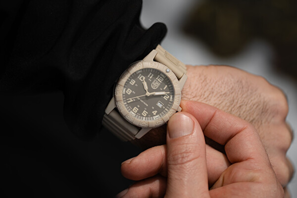 Leatherback Sea Turtle Giant 0320 Series XS.0326