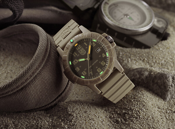 Leatherback Sea Turtle Giant 0320 Series XS.0326