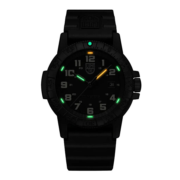 Leatherback SEA Turtle Giant XS.0330
