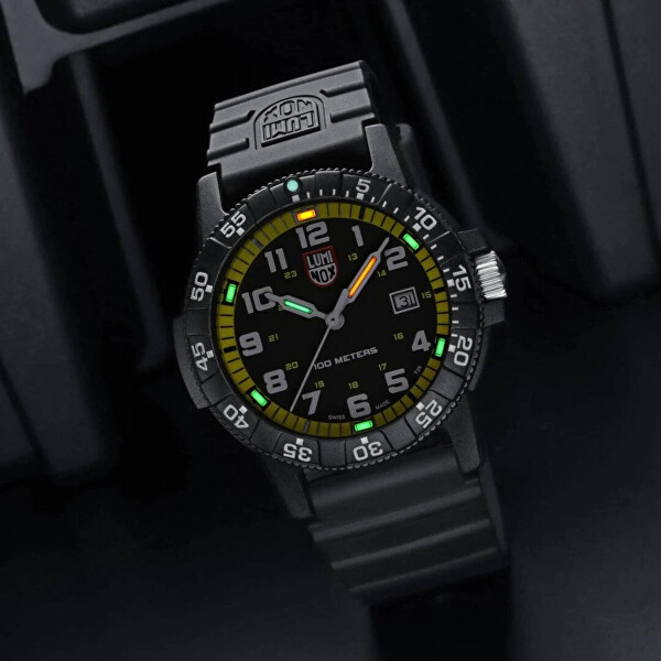 Leatherback Sea Turtle XS.0325