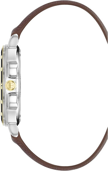 Analogové hodinky SM-9117GYTT