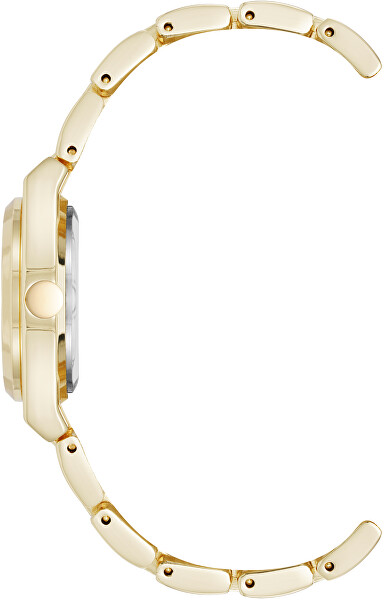 Analogové hodinky NW/3326CHGB