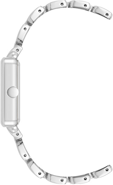 Analogové hodinky NW/3329SVSV