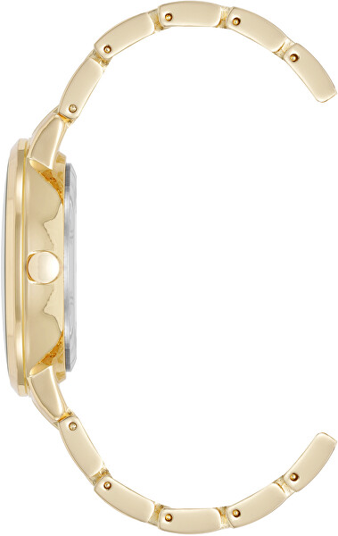 Analogové hodinky NW/3332CHGB