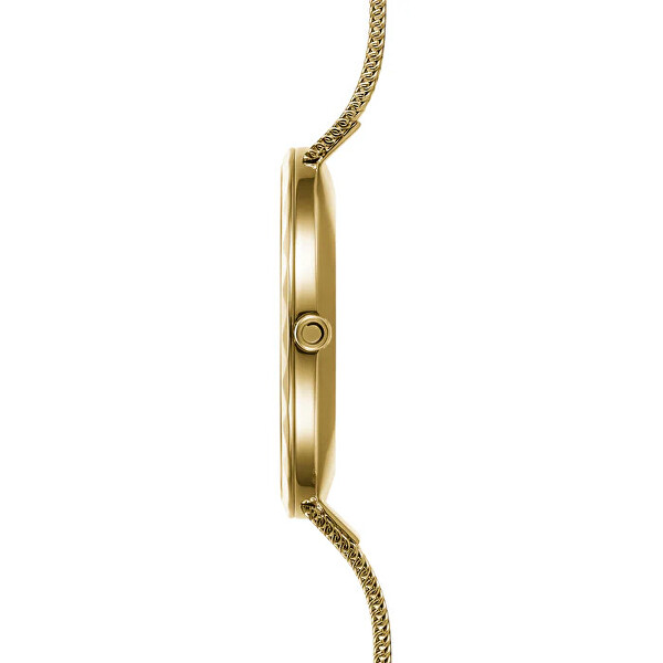 Folder Gold V252LXGIMG