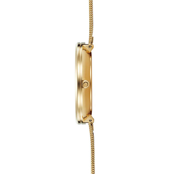 Mynte Gold V211LXGIMG