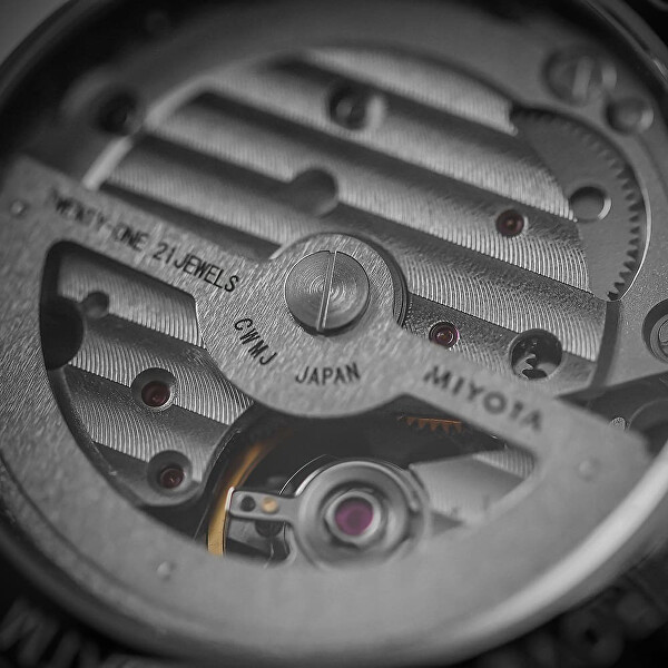 Lady Love Elegant Automatic W02P.13252.A