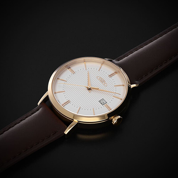 Tempo Essence Automatic W01P.13261.C