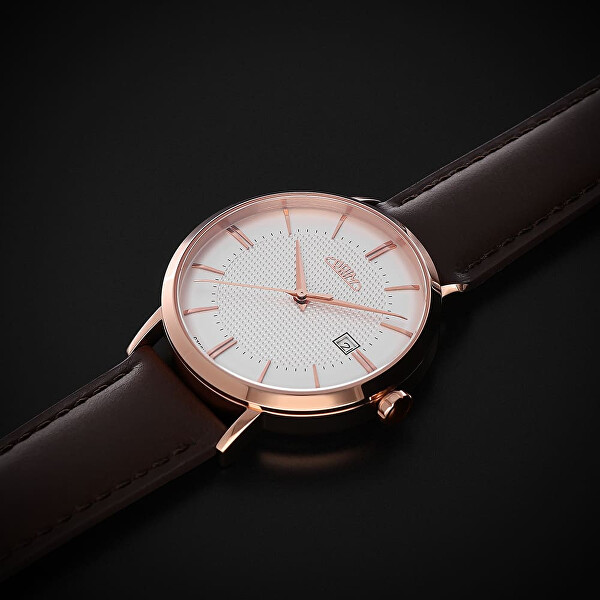 Tempo Essence Automatic W01P.13261.D