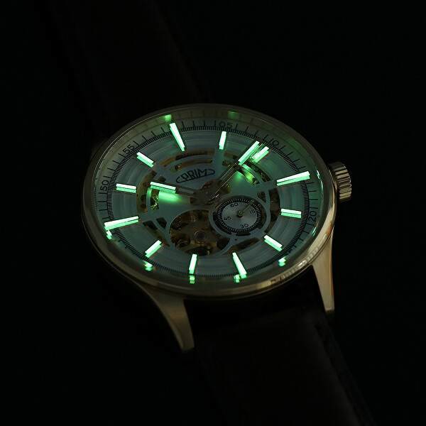 Limited Edition Skeleton 2024 Automatic W91P.13206.C