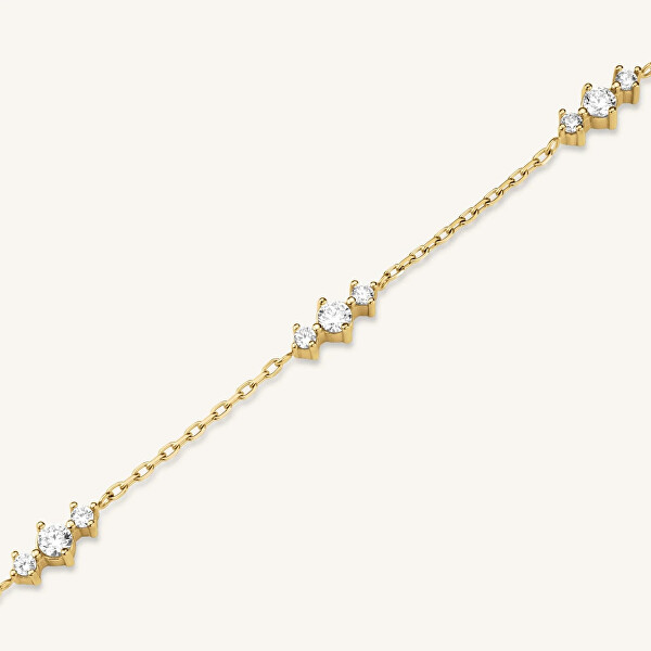 Boxelle Champagne SET BCGTC-X284