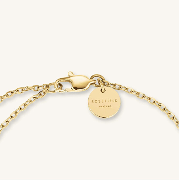 Boxelle Champagne SET BCGTC-X284