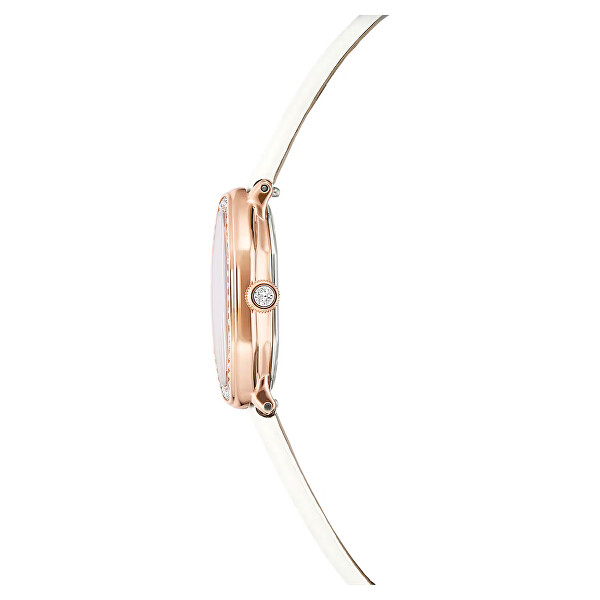 Dextera Octagon 5730208
