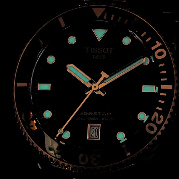 Seastar 1000 T120.410.22.051.01
