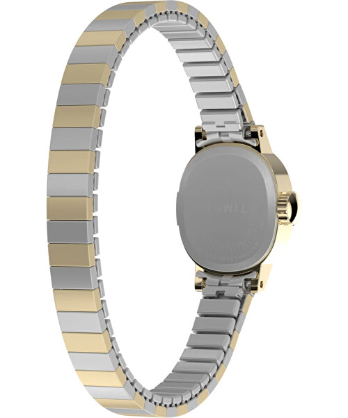 Cavatina Mini TW2Y66900UK