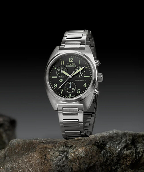 Expedition Capstone Chronograph TW2Y61200UK