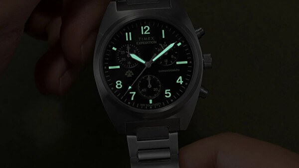 Expedition Capstone Chronograph TW2Y61200UK