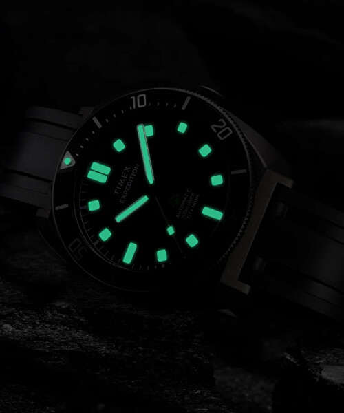 Expedition Pioneer Titanium Automatic TW2Y63600UK